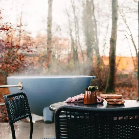 Huswell - Cozy Forest Cabinet With Private Hot Tub Stekene